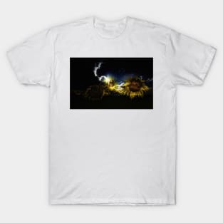 The Ghost of Summer T-Shirt